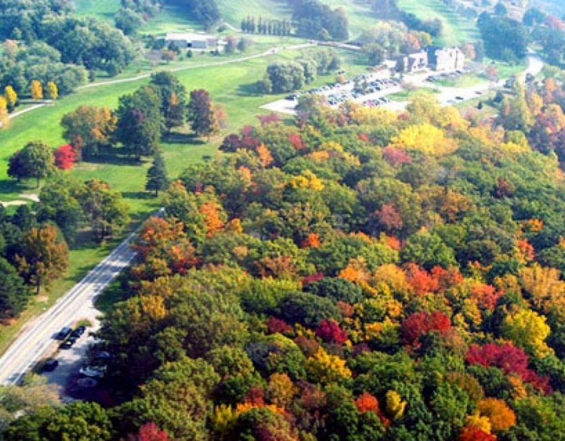 From Toronto: Niagara Falls Evening Tour With Boat Cruise - Itinerary and Activities