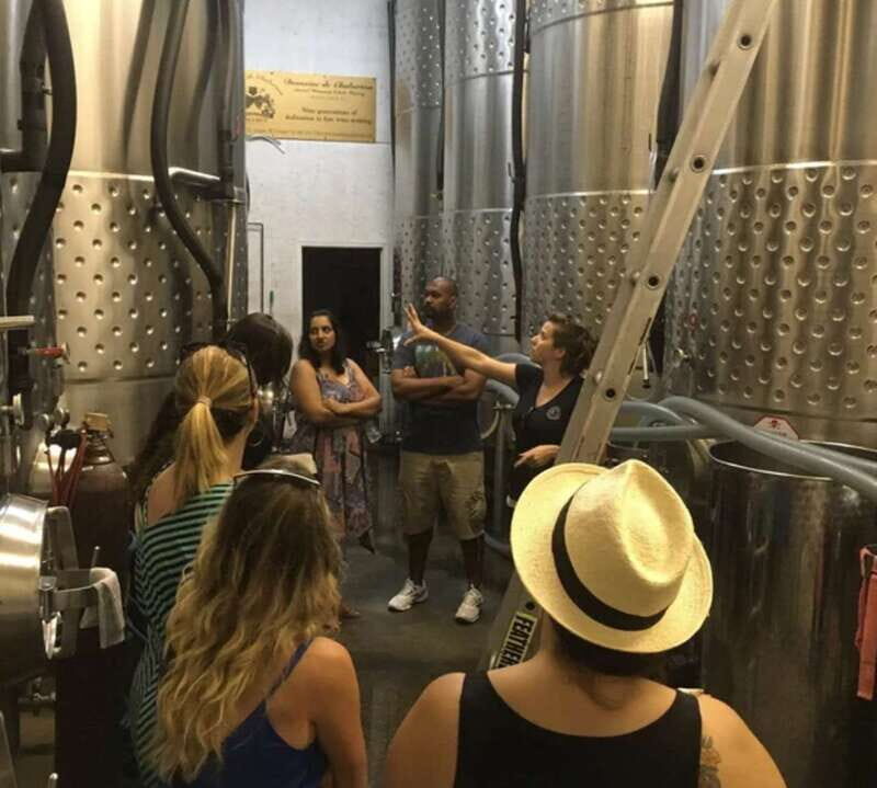 From Toronto: Niagara Wine Tours - Key Points