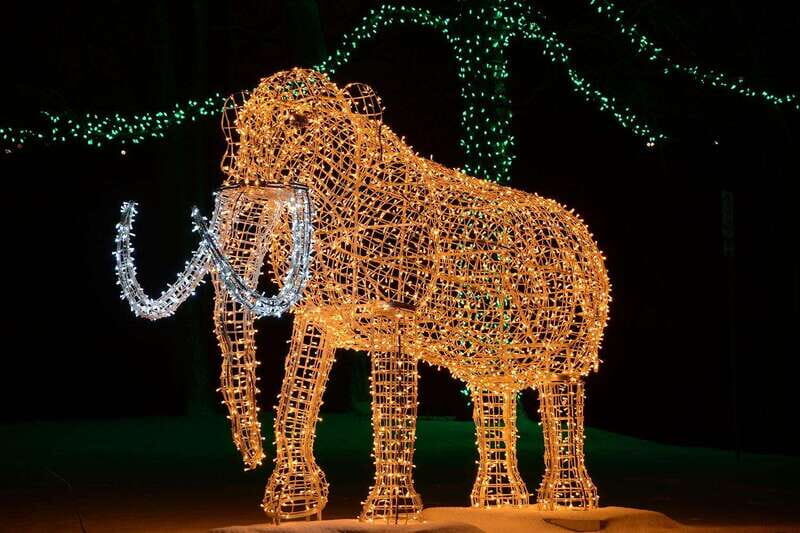 From Toronto: Winter Festival of Lights Niagara Falls Tour - Authentic Traveler Feedback