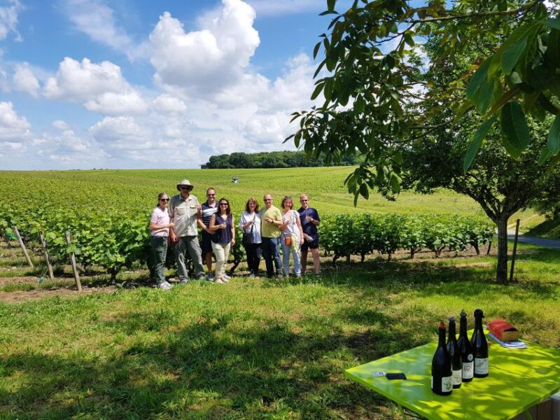 From Tours: Afternoon Loire Valley Wine Tour to Vouvray - Itinerary Highlights