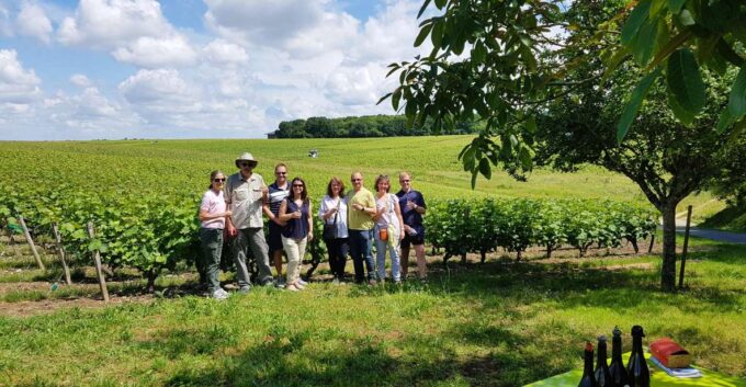 From Tours: Afternoon Loire Valley Wine Tour to Vouvray - Activities