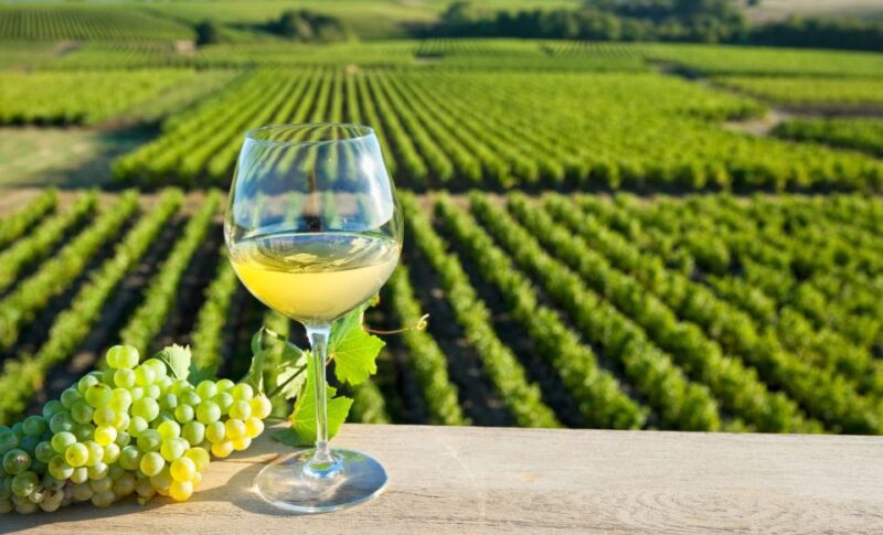 From Tours: Loire Valley Wineries Day Trip With Tastings - Key Points