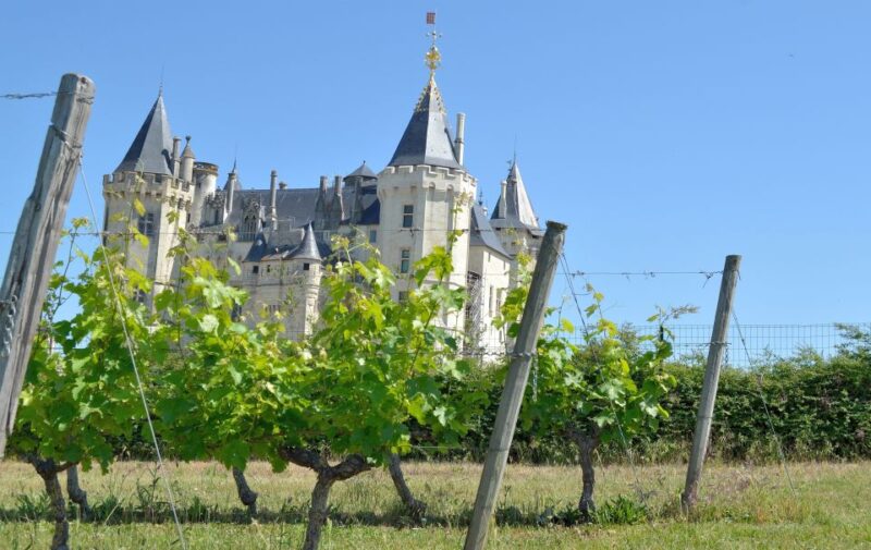 From Tours: Loire Valley Wineries Day Trip With Tastings - Itinerary Highlights