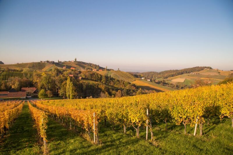 From Tours: Loire Valley Wineries Day Trip With Tastings - Wine Tasting Experiences