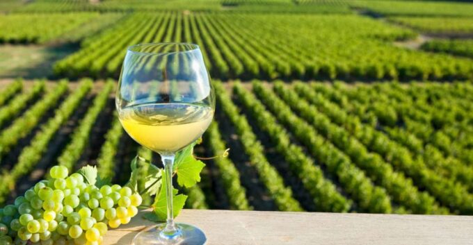 From Tours: Loire Valley Wineries Day Trip With Tastings - Inclusions and Exclusions