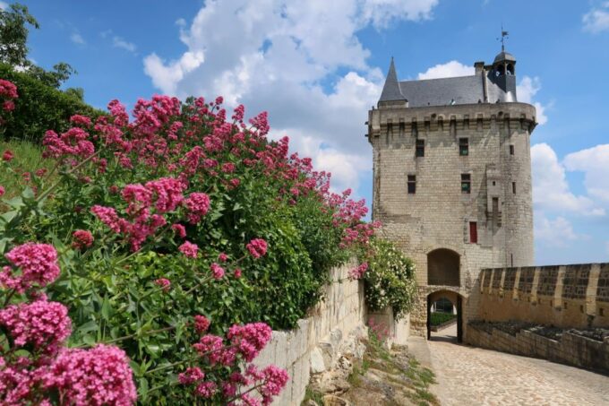 From Tours: Loire Valley Wineries Day Trip With Tastings - Important Travel Information