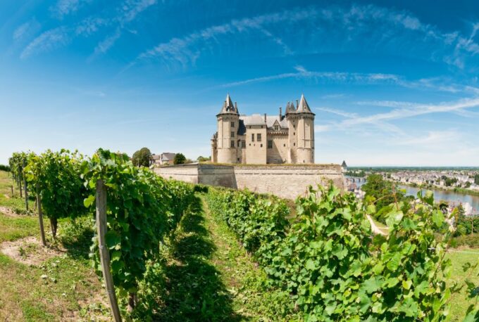 From Tours: Loire Valley Wineries Day Trip With Tastings - Customer Feedback and Ratings