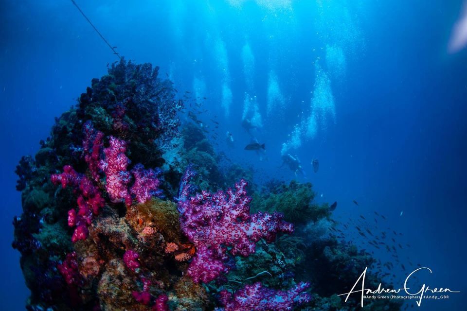 From Townsville or Magnetic Island: Yongala Wreck Dive Trip - Inclusions