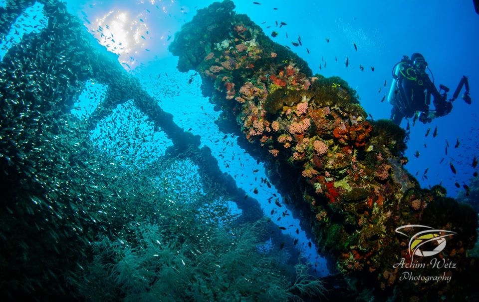 From Townsville or Magnetic Island: Yongala Wreck Dive Trip - Customer Reviews