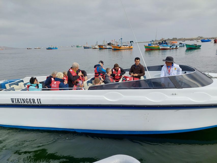 From TPP Paracas: Islands Tours & Paracas Natural Reserve - Key Points