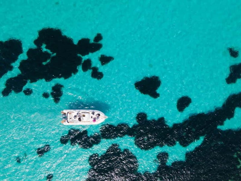 From Trapani: Egadi Islands Favignana & Levanzo Cruise - Discovering the Egadi Islands from Trapani