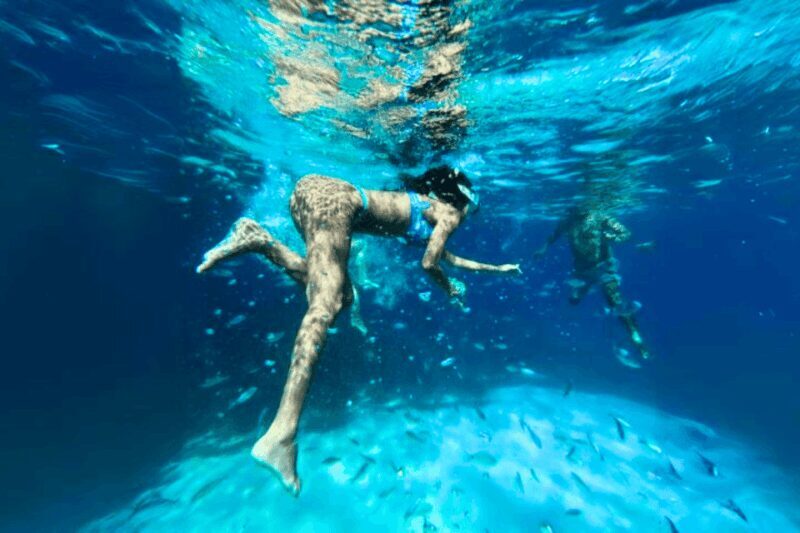 From Trapani: Favignana and Levanzo Island Day Cruise - Who Should Consider This Tour?