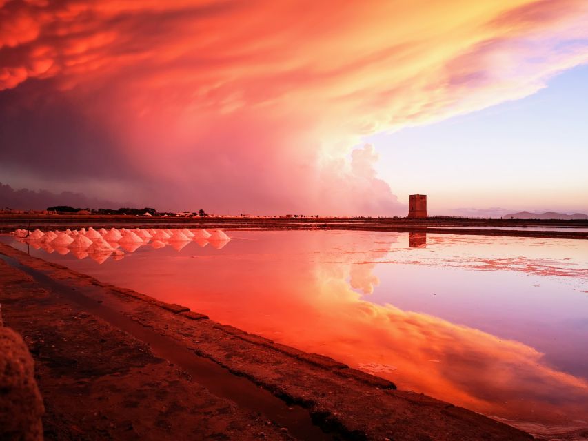 From Trapani: Stagnone Islands of Marsala and Salt Pans - Local Flora and Fauna