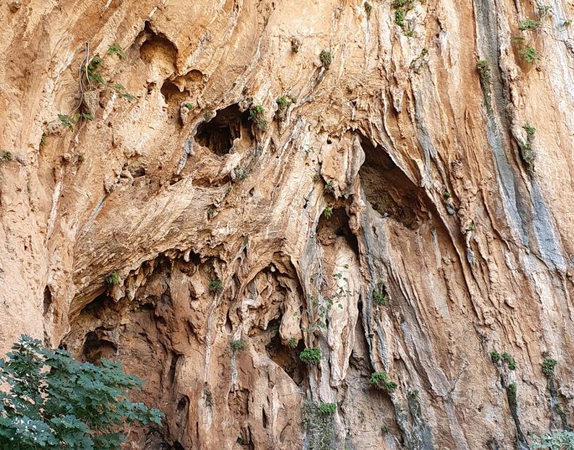 From Trapani: Zingaro Natural Reserve Hiking and Snorkeling - Highlights of the Tour