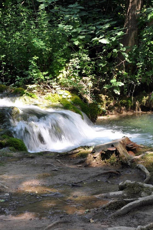 From Trogir, Seget & Okrug: Krka Waterfalls Gastro Tour - An In-Depth Look at the Krka Waterfalls Gastro Tour