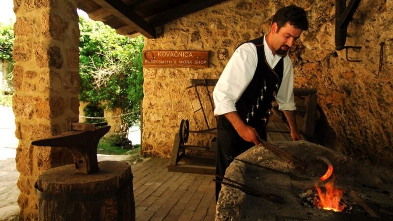 From Trogir, Seget & Okrug: Krka Waterfalls Gastro Tour - Who Should Consider This Tour?