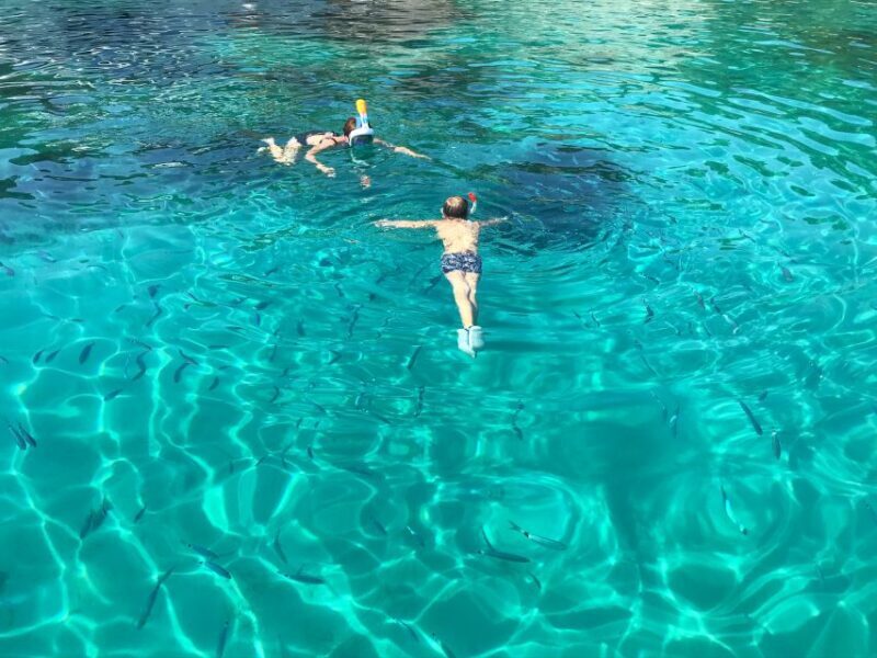 From Trogir: Three Islands Half-Day Speedboat Tour - FAQs