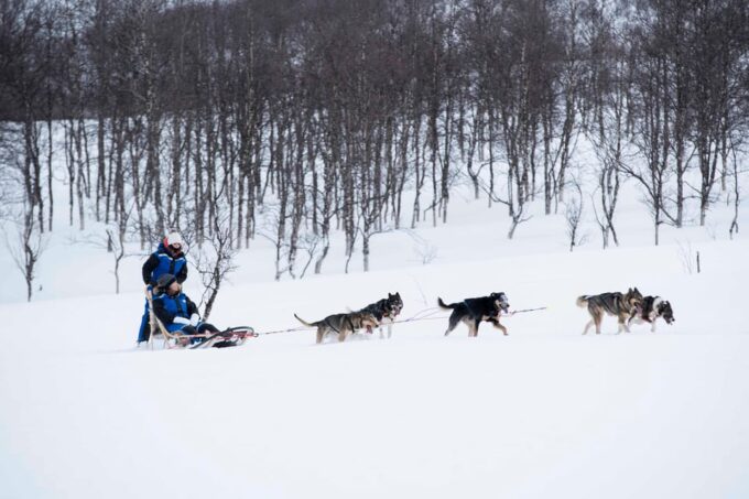 From Tromsø: Advanced Dog Sledding Tour at Camp Tamok - Transportation Details