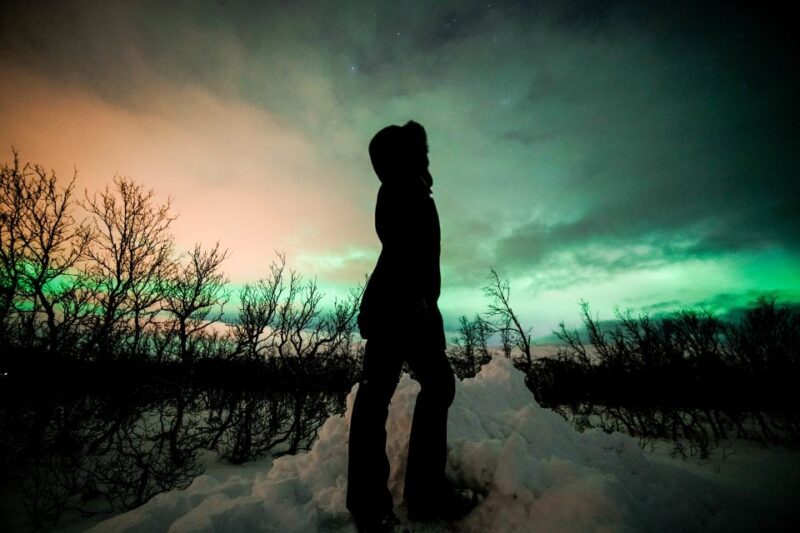 From Tromsø: Aurora Borealis Tour - Good To Know