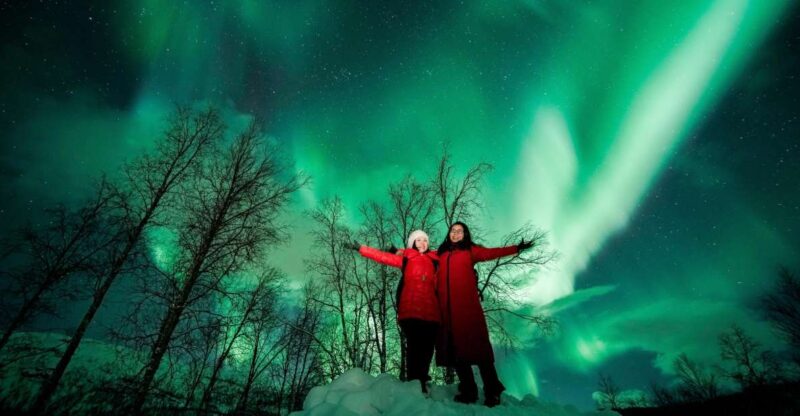 From Tromsø: Aurora Borealis Tour - Customer Ratings