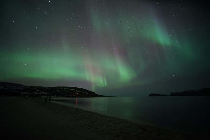 From Tromsø: Aurora Bus Tour with Snacks, Photos, and Drinks - An In-Depth Look at the Aurora Bus Tour