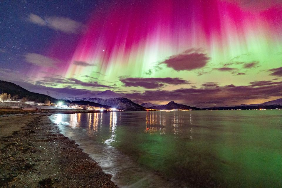 From Tromsø: Aurora Minibus Chase with Portrait and Hot Meal - Key Points