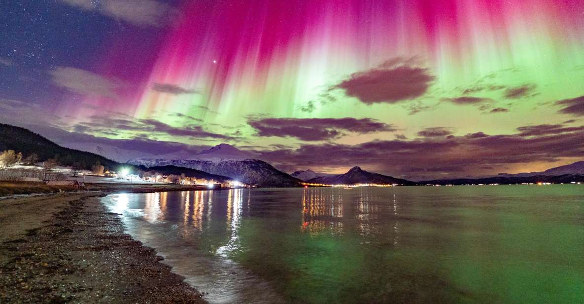 From Tromsø: Aurora Minibus Chase with Portrait and Hot Meal - FAQs
