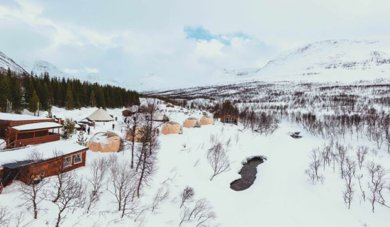From Tromsø: Daytime Reindeer Sledding at Camp Tamok - Good To Know