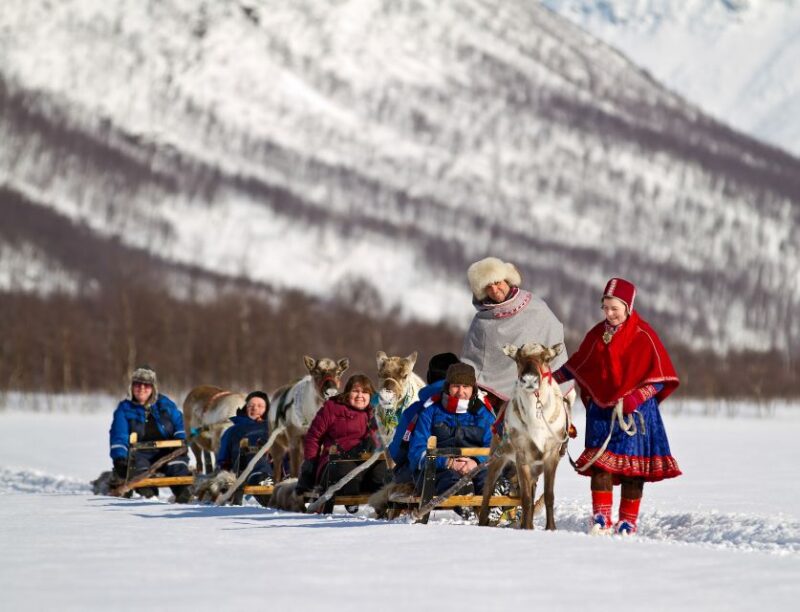 From Tromsø: Daytime Reindeer Sledding at Camp Tamok - How to Book