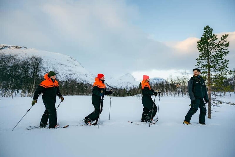 From Tromsø: Daytime Snowshoeing and Snow Park Visit - Transportation, Timing, and Group Size