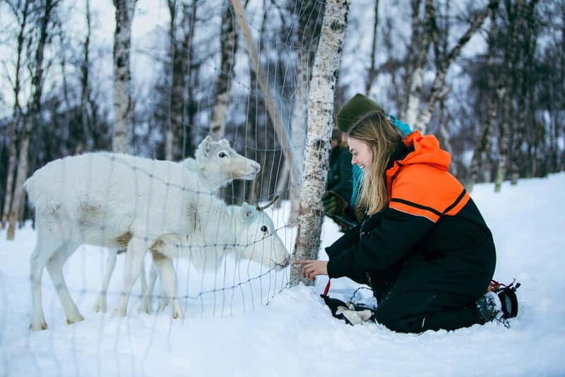 From Tromsø: Daytime Snowshoeing and Snow Park Visit - Authentic Experiences That Matter