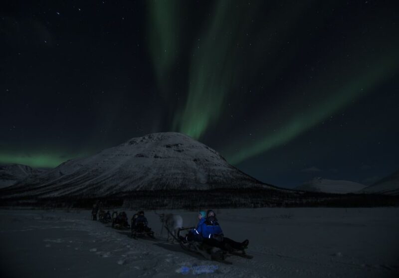 From Tromsø: Evening Reindeer Sledding at Camp Tamok - Cultural Experience
