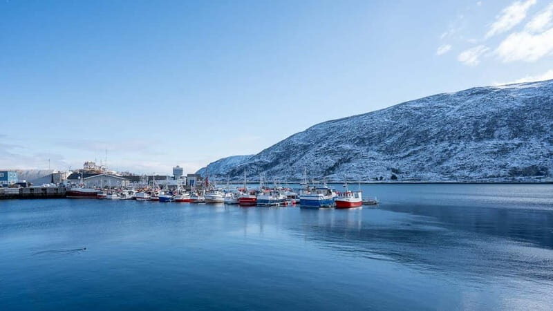 From Tromsø: Experience Vannøya Island Wild, Remote & Real - Discovering Vannøya: An Arctic Experience Unlike Any Other