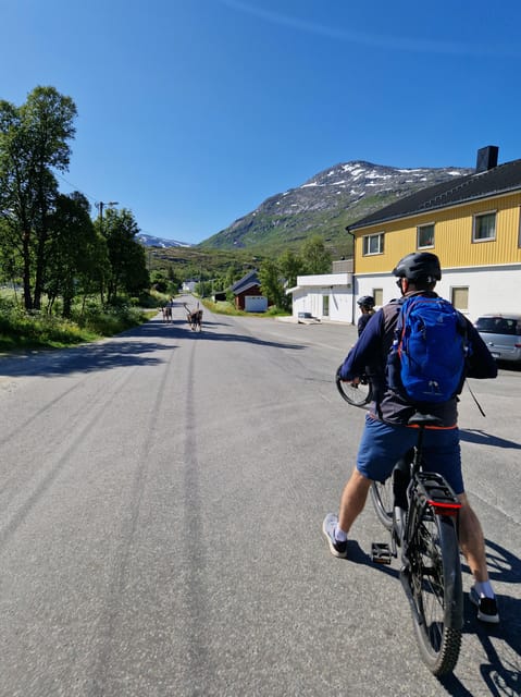 From Tromsø: Fjord Sightseeing With E-Bike - Is It Worth the Price?