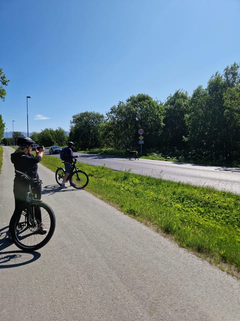 From Tromsø: Fjord Sightseeing With E-Bike - The Sum Up