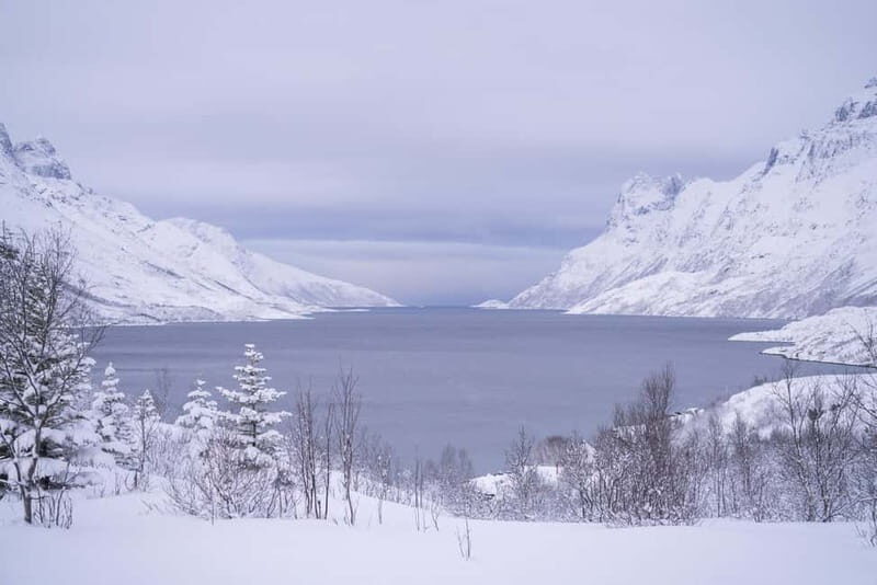 From Tromsø: Fjord Tour and Visit to Sommarøy in French - What Travelers Say