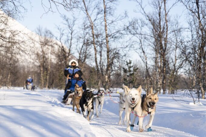 From Tromsø: Fun and Easy Dog Sledding Adventure - Nearby Attractions