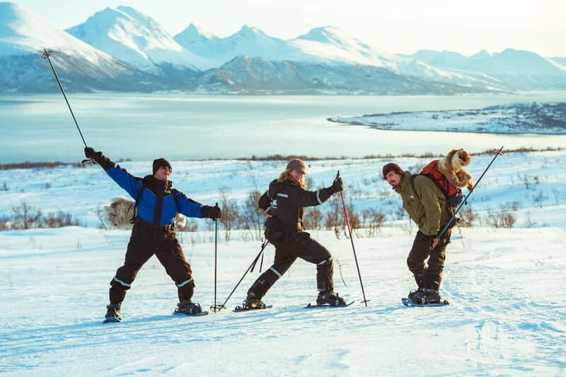From Tromsø: Guided Husky Snowshoe Hike and Husky Camp Visit - Final Thoughts