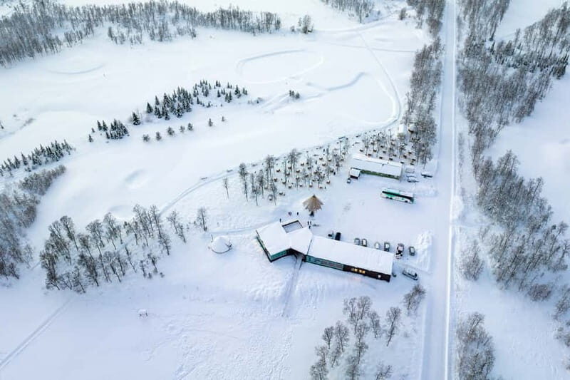 From Tromsø: Husky Experience with Self-Drive Dog Sled Ride - Practical Considerations for Travelers