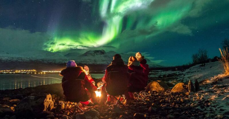 From Tromsø: Northern Lights Tour - Experience and Itinerary