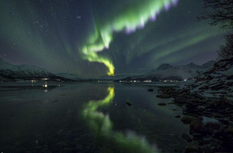 From Tromsø: Northern Lights Tour - Guided Tour Features