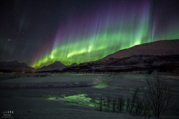 From Tromsø: Northern Lights Tour - Booking and Cancellation Policy