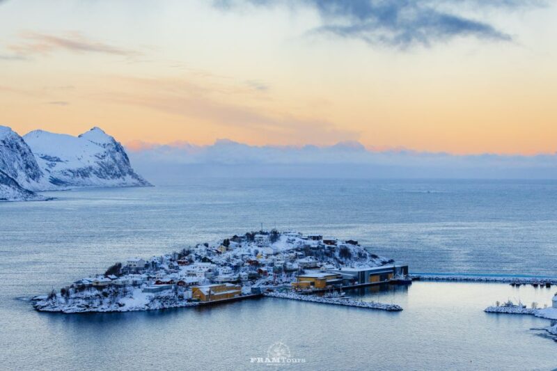 From Tromsø: Senja and Kvaløya Arctic Day Trip With Lunch - Itinerary Highlights