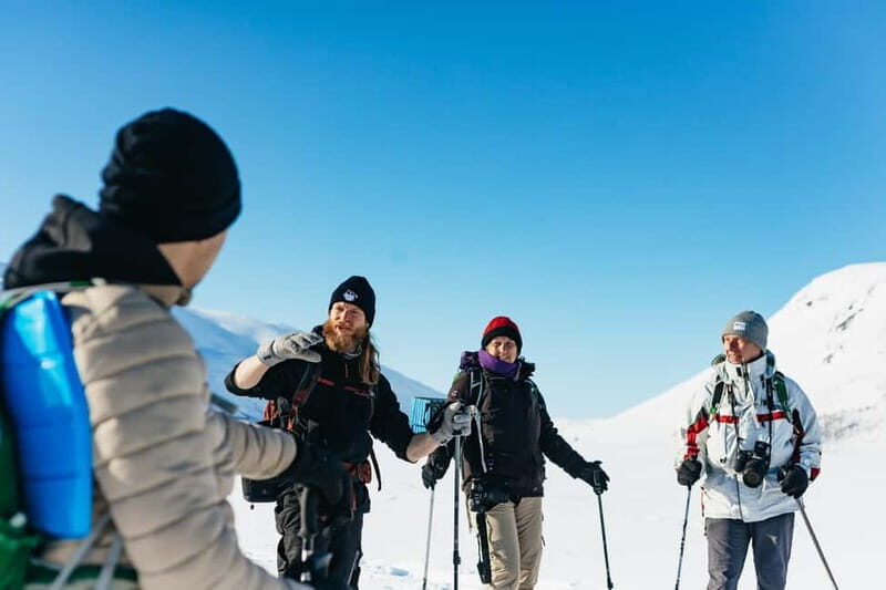 From Tromsø: Snowshoeing Hike with Picnic Lunch and Photos - Exploring Tromsø on a Snowshoeing Adventure: Honest Review