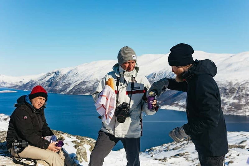 From Tromsø: Snowshoeing Hike with Picnic Lunch and Photos - Who Should Book This Tour?