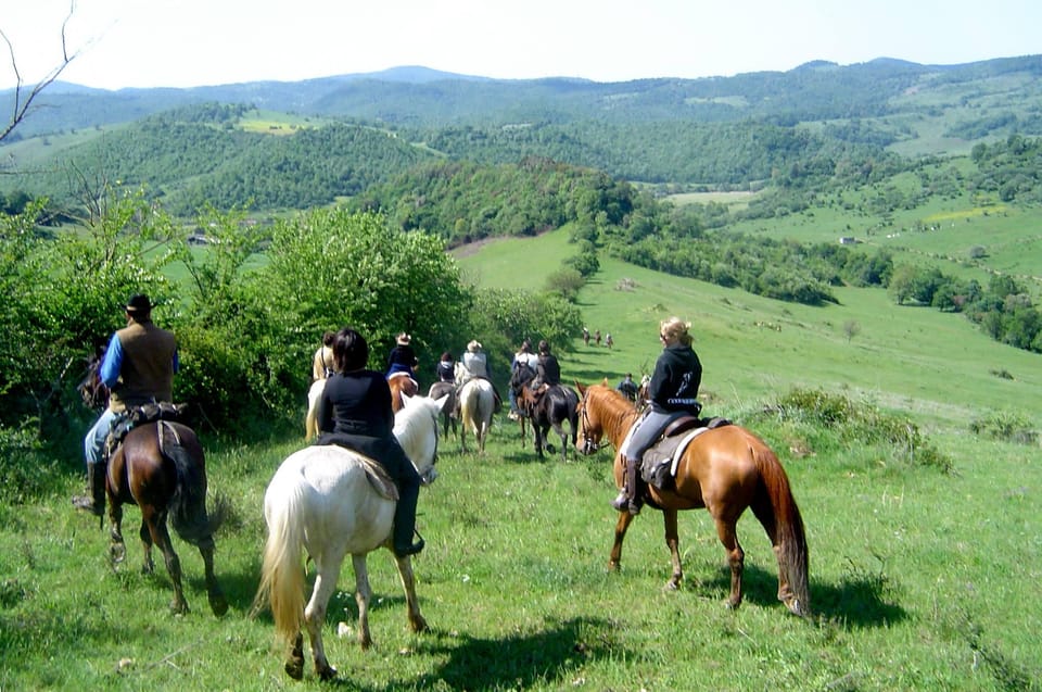 From Tropea: Horseback Riding Tour With Picnic in Francica - Ask Away