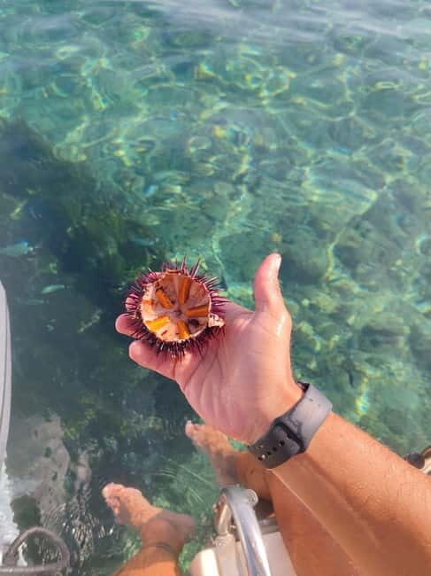 From Tropea: Max 8 People esclusive Trip Costa degli Dei - Who Should Book This Tour?