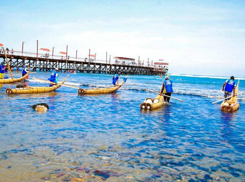 From Trujillo: Full Day With Paso Horses and Sailor Show - Key Points
