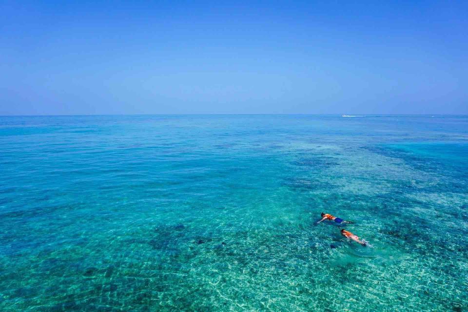 From Tulum: Cenote Riviera Maya & Snorkel Excursion - Mayan Worldview