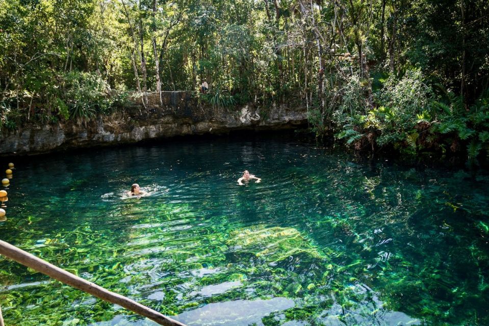 From Tulum: Four-Cenote Adventure - Key Points